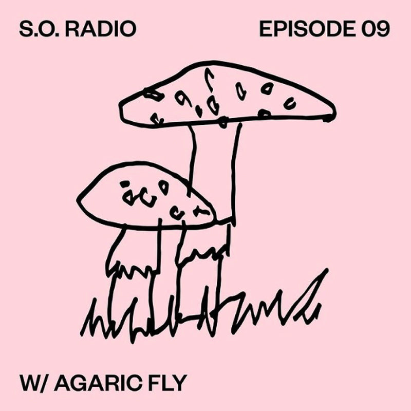 S.O. Radio With Agaric Fly